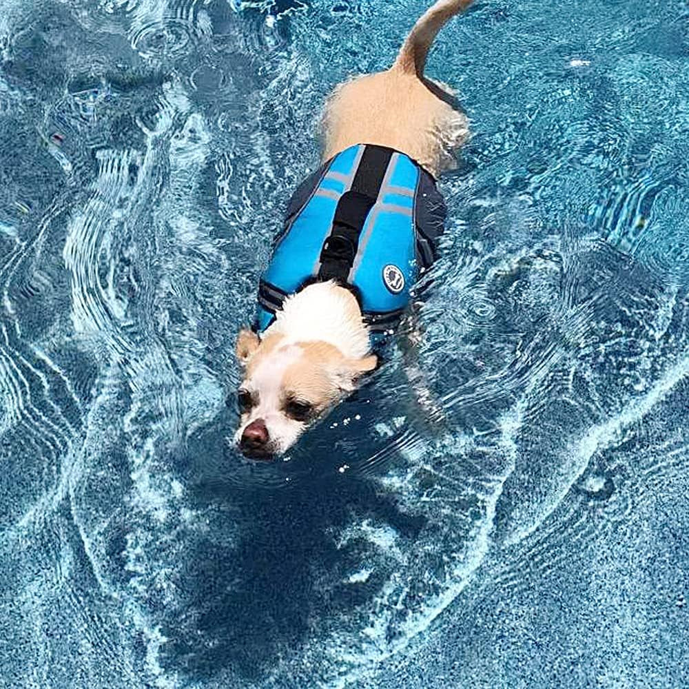 Sports Style Dog Life Vest, Dog Life Jacket for Swimming & Boating, Ripstop & Buoyancy for Puppy Doggy, Lifejacket with Handle, XS, Blue