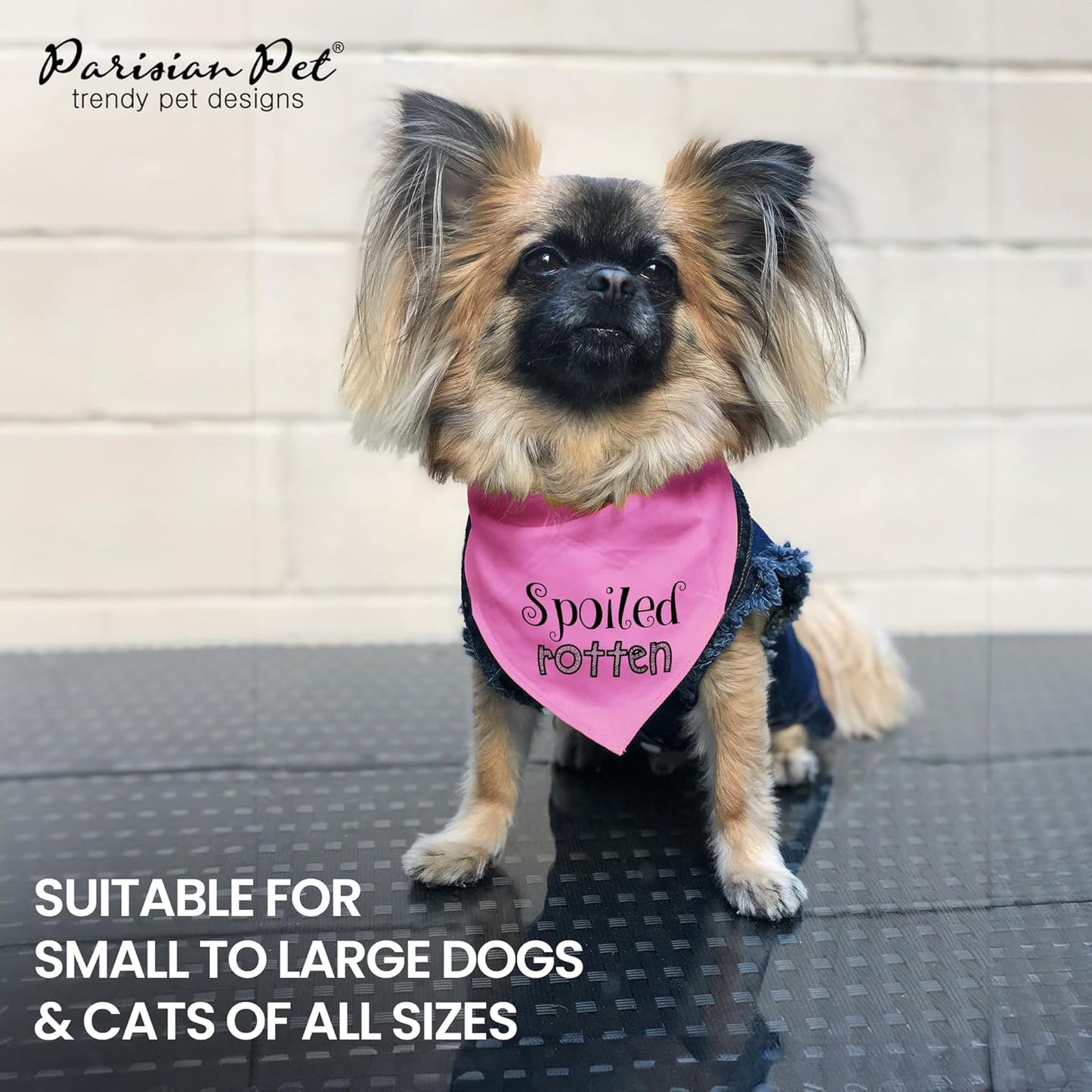 Spoiled Rotten Dog Bandana, Medium