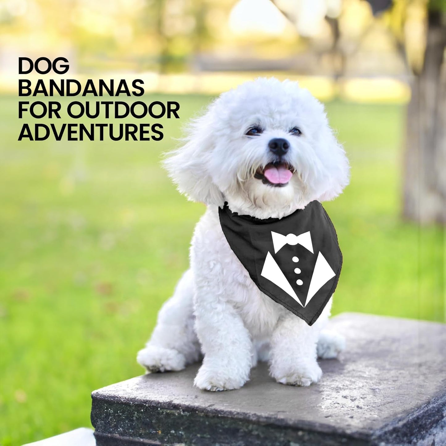 Tuxedo Dog Bandana, Medium
