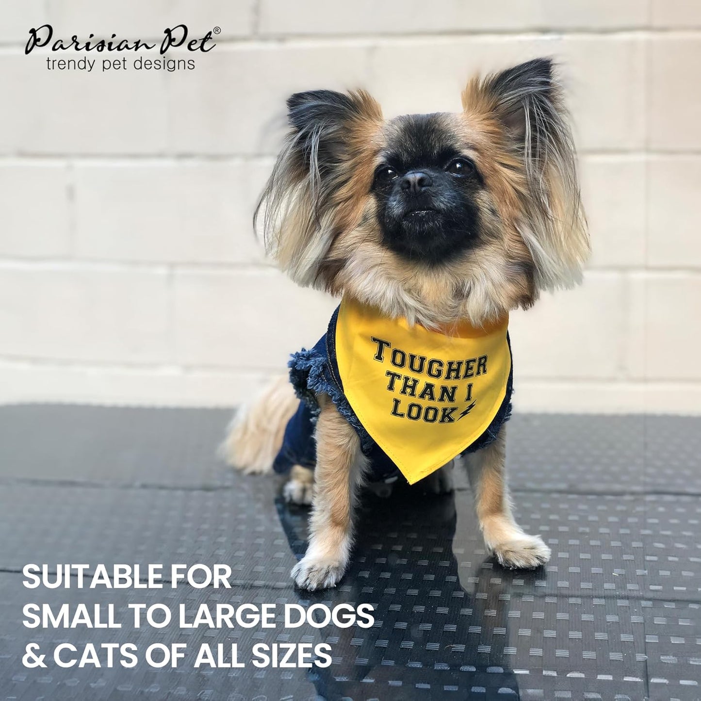 Dog Bandanas with Printed 'Tougher than I Look' - Tie-On Adjustable Dog Bandana - Polyester Dog Scarf for Small Dogs - Triangle Dog Bib - Yellow Handkerchief for Pets - S
