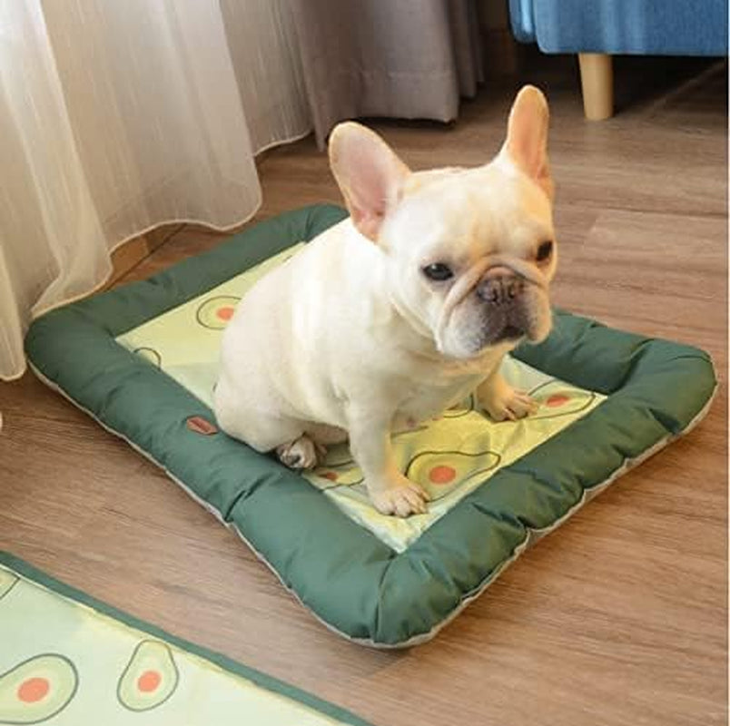Summer Cat&Dog Bed All Season-Machine Wash & Dryer Friendly-Anti-Slip Pet Beds Avocado Series (Medium) Size27X19