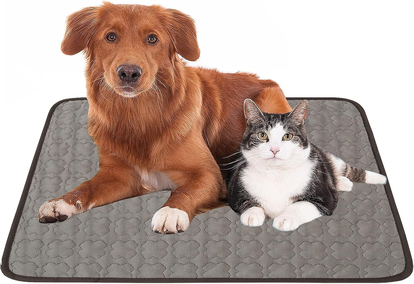 Dog Cooling Mat Pads Car Seat Pads Pet Dog Cat Litter Padskennel Pad Breathable Ice Silk Pet Bed