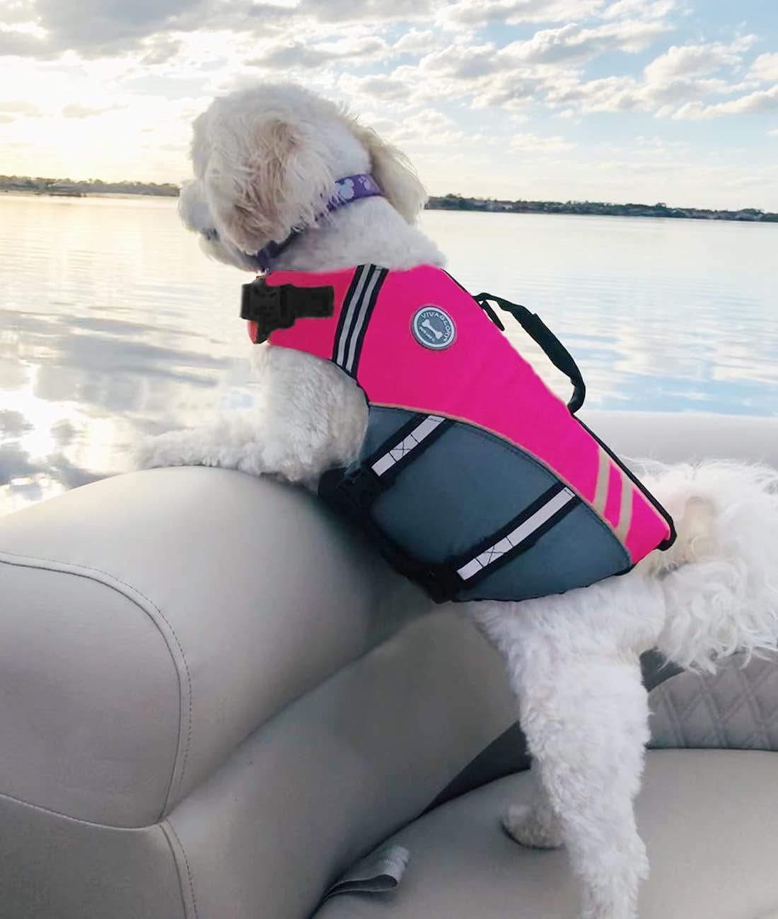 Sports Style Dog Life Jacket with Adjustable & Durable, Extra Flotation Swim Life Vest with Secure Fastening System for Medium Dogs, Pink