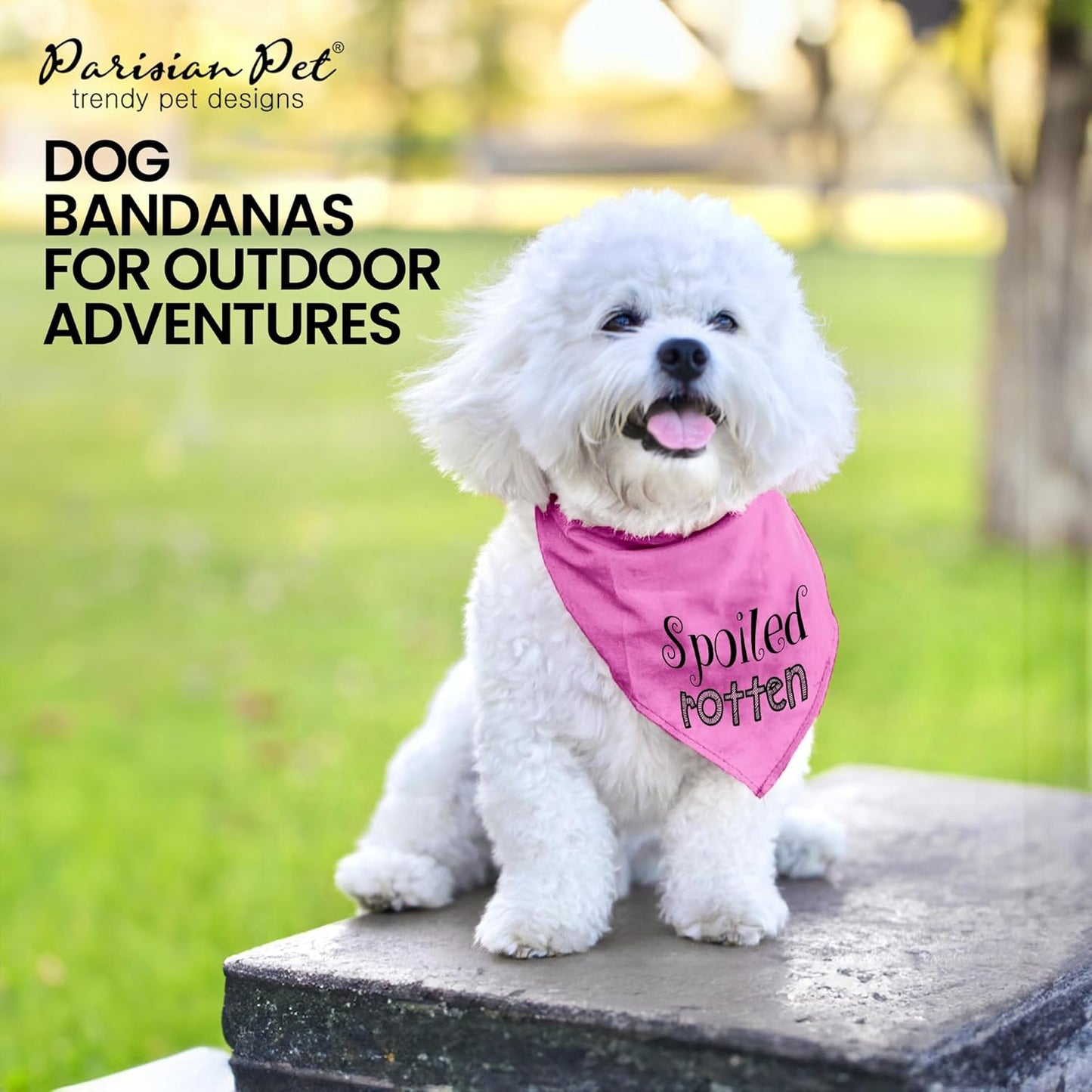 Spoiled Rotten Dog Bandana, Medium