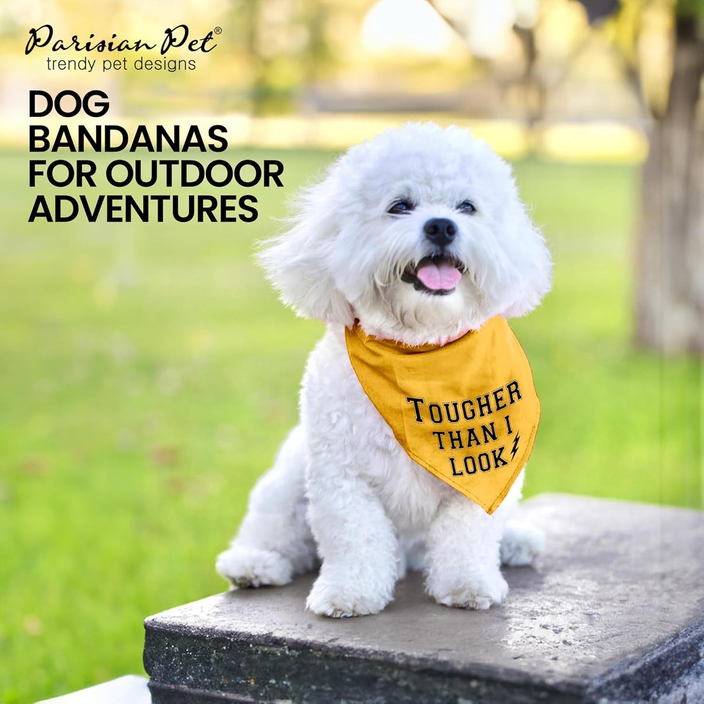 Dog Bandanas with Printed 'Tougher than I Look' - Tie-On Adjustable Dog Bandana - Polyester Dog Scarf for Small Dogs - Triangle Dog Bib - Yellow Handkerchief for Pets - S