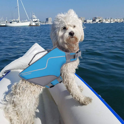 Neoprene Dog Life Vest, Dog Life Jacket for Swimming & Boating, Lightweight & Buoyancy for Puppy Doggy, Swimming Vest with Handle, XS, Blue