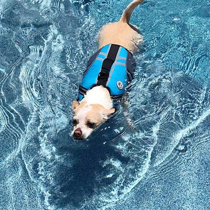 Sports Style Dog Life Vest, Dog Life Jacket for Swimming & Boating, Ripstop & Buoyancy for Puppy Doggy, Lifejacket with Handle, XS, Blue