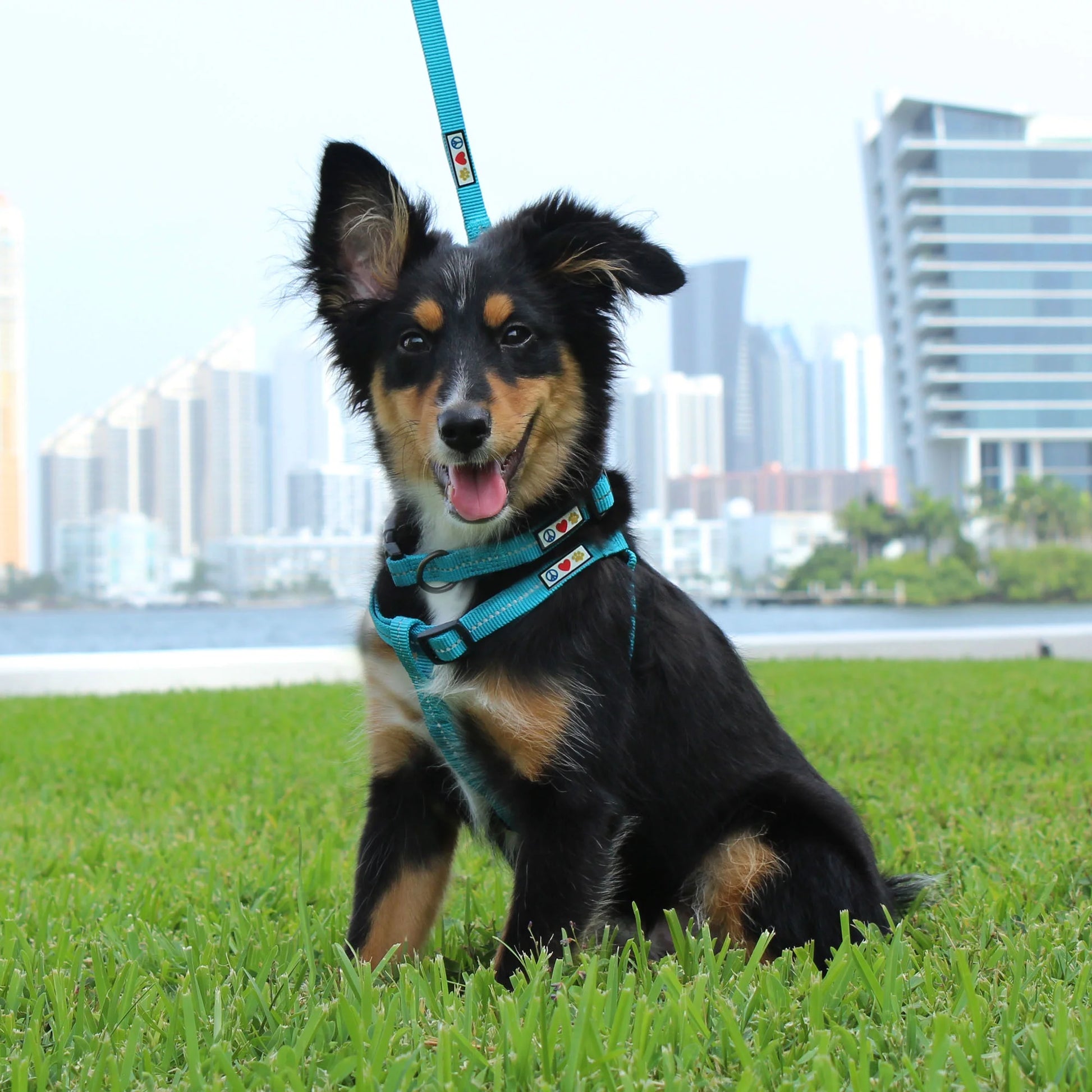 Reflective Dog Collar Adjustable for Extra Small Dogs - Pink Camo Collar