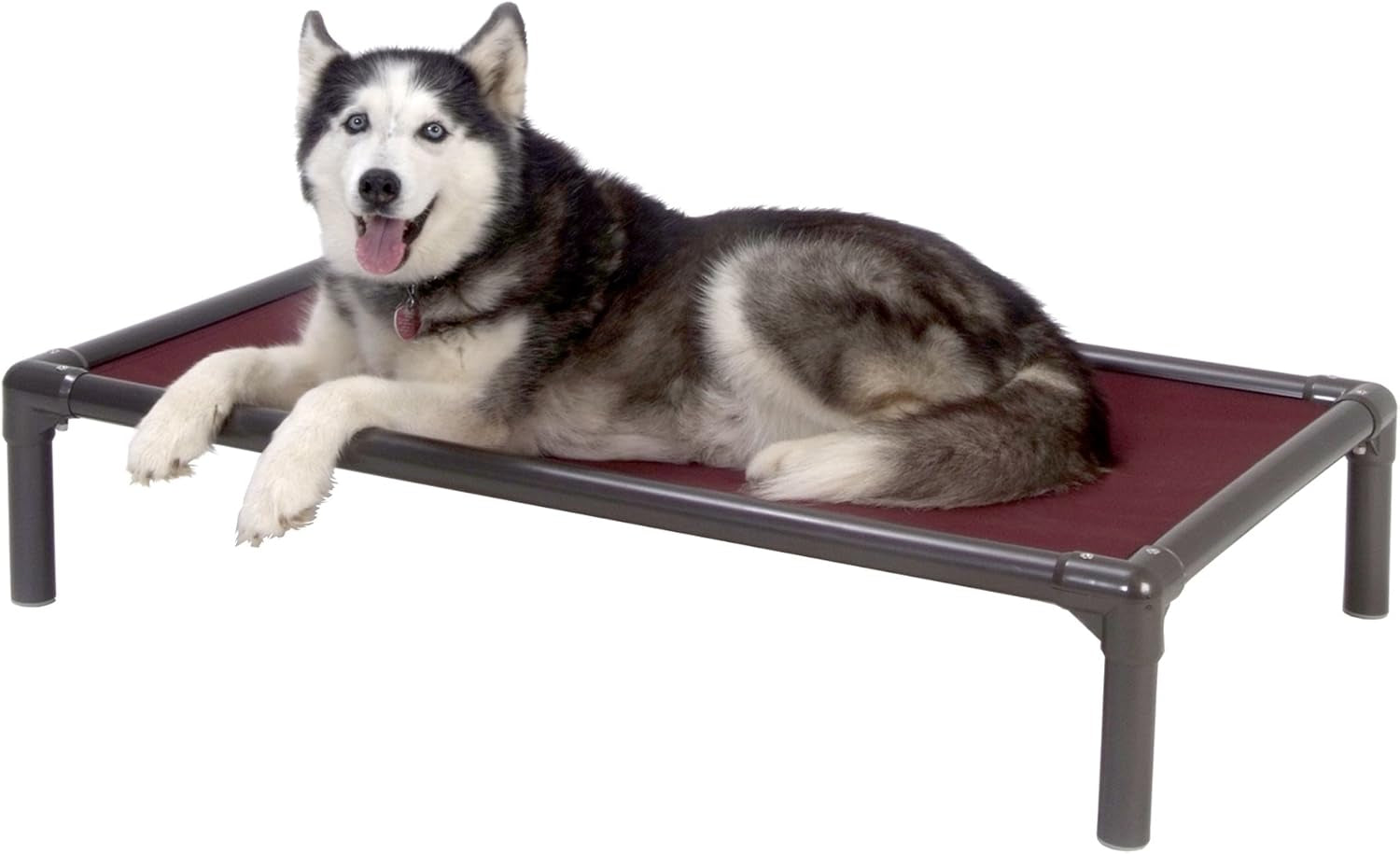 Chewproof Dog Bed - Walnut PVC - 30" X 20" - Sunsure Textilene - Birch