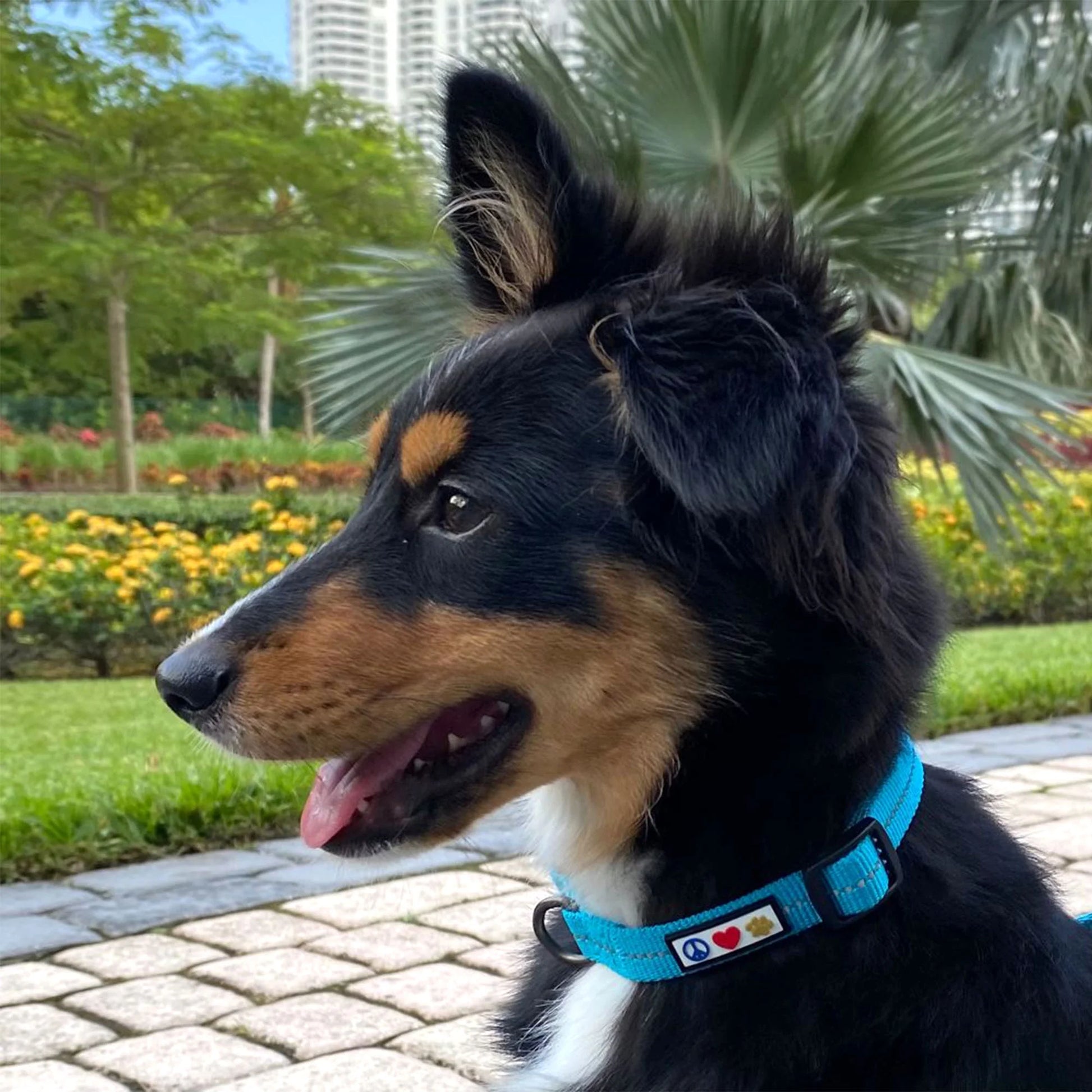 Reflective Dog Collar Adjustable for Extra Small Dogs - Pink Camo Collar