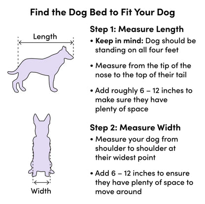 Apollo Sophisticated Decorative Dog with Curved Back
