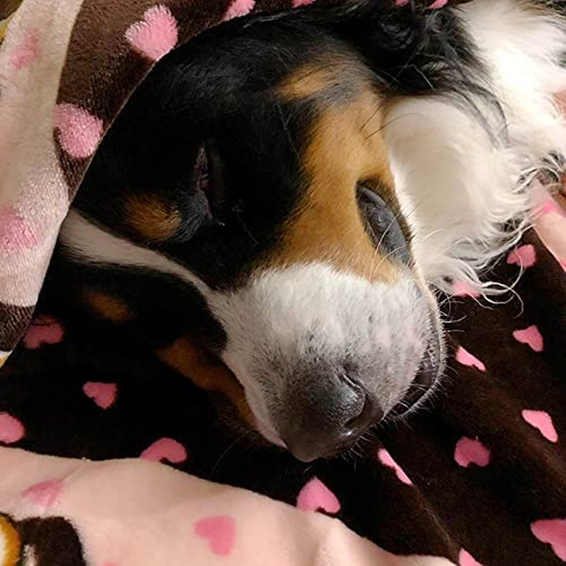 Snuggle Puppy Blanket for Pets - Cozy Dog Blanket for Small Dogs - Machine Washable Dog Blanket in Pink