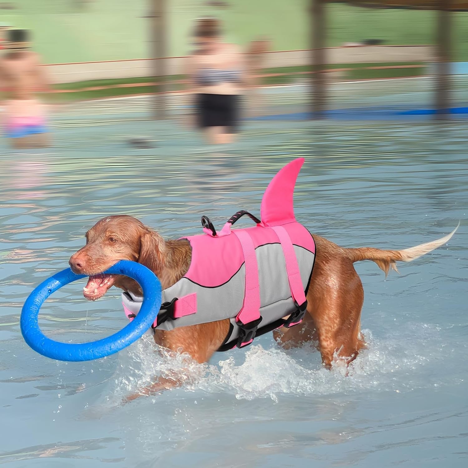 Dog Life Jacket - Pet Safety Vest for Swimming & Boating, Shark Life Jacket with Floatation, Dog Lifesavers Swimsuits for Small Medium Large Dogs (Pink, L)