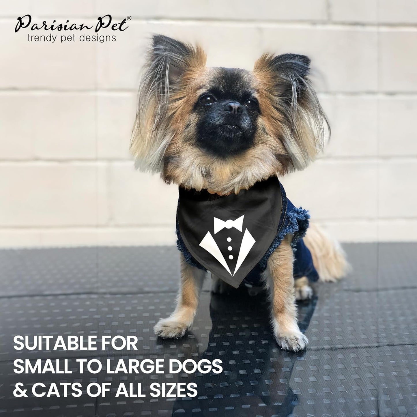 Tuxedo Dog Bandana, Medium