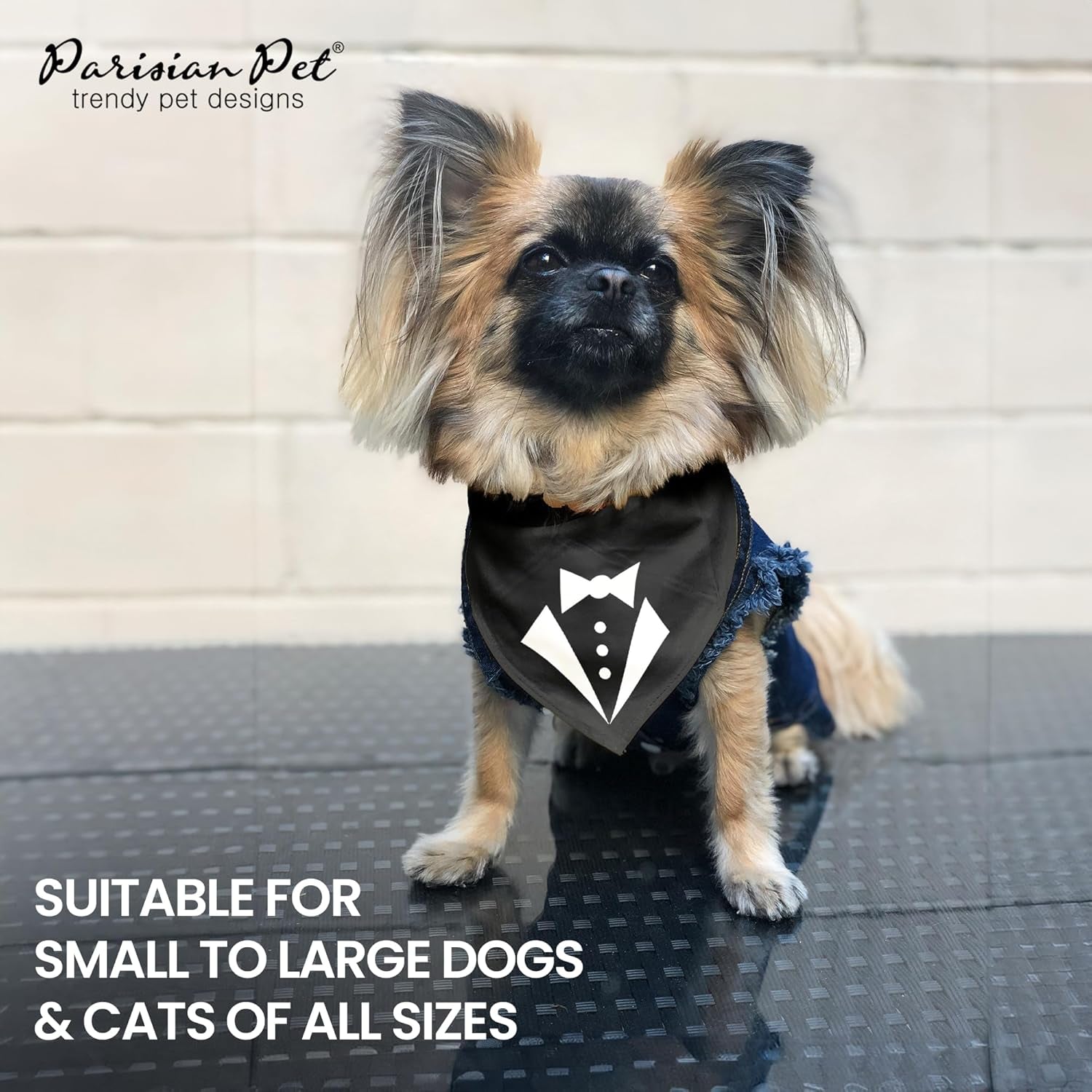 Tuxedo Dog Bandana, Small