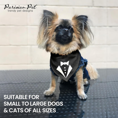 Tuxedo Dog Bandana, Small